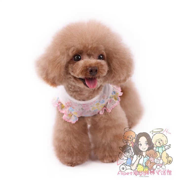 Chỉ thị trấn thú cưng 2019 mùa xuân và mùa hè quần áo thú cưng cotton thêu hoa búp bê váy con chó quần áo thú cưng - Quần áo & phụ kiện thú cưng 	áo dành cho mèo con	