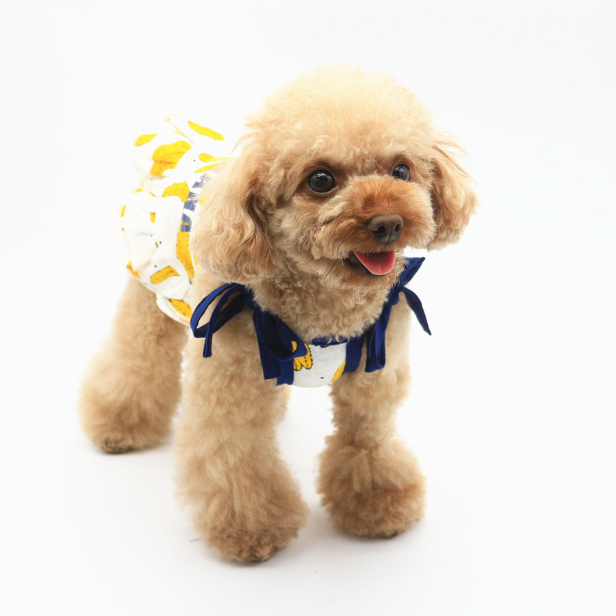Aipet Pet Quần áo Tôi là BANANA Banana In VIP Teddy Puppy Dress Váy - Quần áo & phụ kiện thú cưng phụ kiện chó