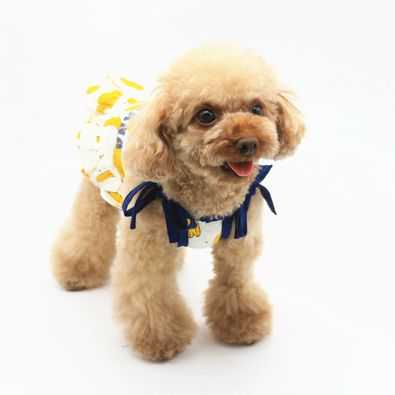 Aipet Pet Quần áo Tôi là BANANA Banana In VIP Teddy Puppy Dress Váy - Quần áo & phụ kiện thú cưng áo cho chó giá rẻ