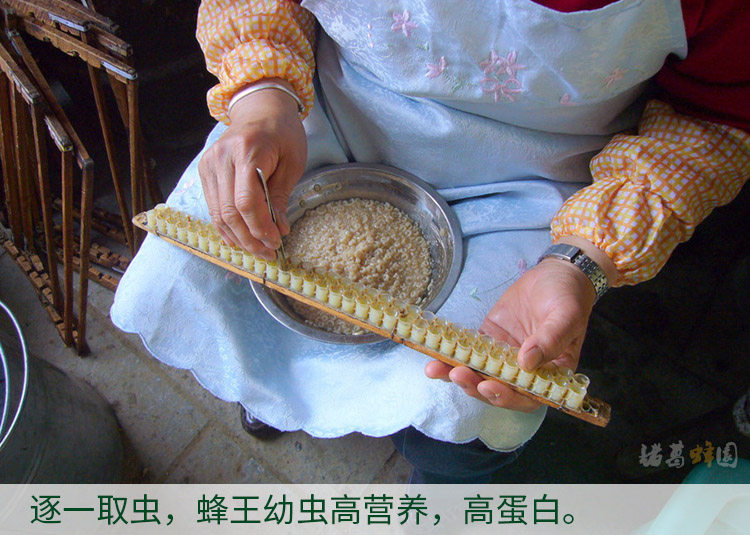 Как продюсирует королевское желе 4