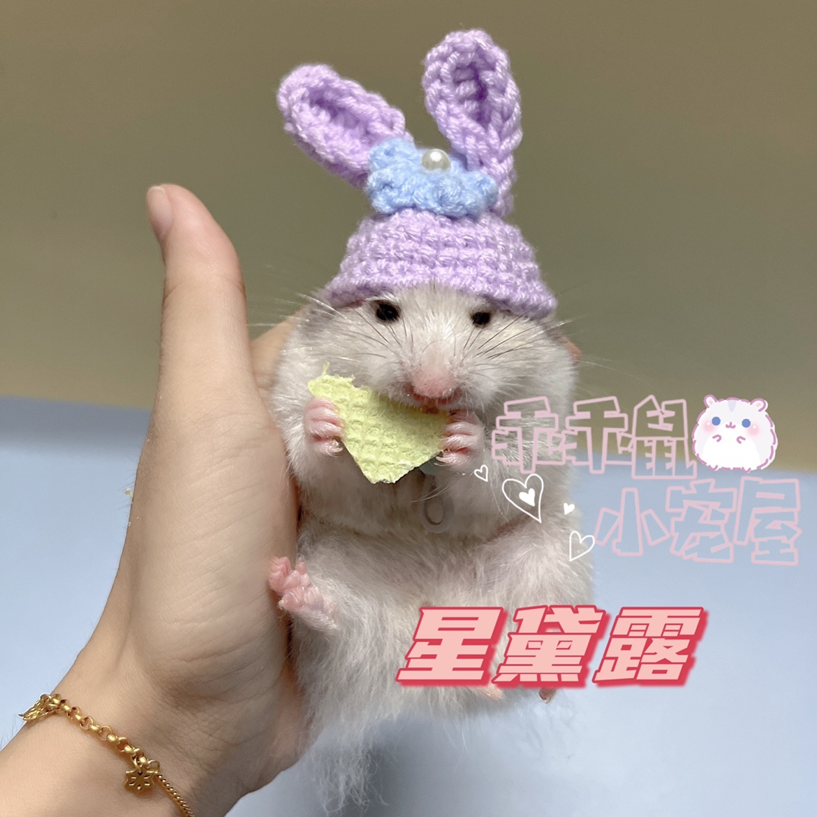 DODO:金丝熊小帽的可爱编织世界