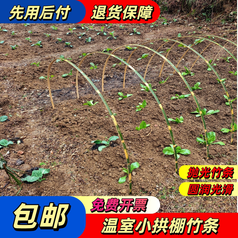Bamboo Strips and Pieces for Small Arch-Shaped Greenhouses, Vegetable and Green Plant Nursery, Insect-Proof Tent Support Rods Bamboo Strips and Pieces for Small Arch-Shaped Greenhouses, Vegetable and Green Plant Nursery, Insect-Proof Tent Support Rods