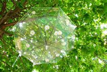 Exterior View Wedding Dress Photo Props Small Fresh Daisy Umbrella Girl Writing True Props Umbrella Personality Creative Daisy Transparent Umbrella