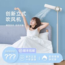 Standing blow dryer AUTOMATIC VERTICAL HAIR DRYER SLOTH FREE HAND HAIR DRYER WITHOUT HAND HOLD SPEED DRY HAIR CARE HAIR DRYER