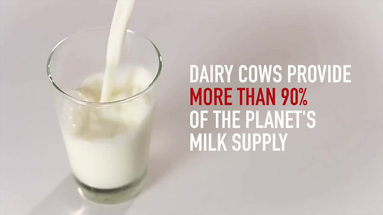 Final Cut Pro X插件TitleMations创意字幕标题特效动画28组FCPX