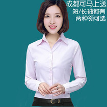 White womens short sleeve shirt flight attendant interview dress business slim work slim overalls professional long sleeve shirt size