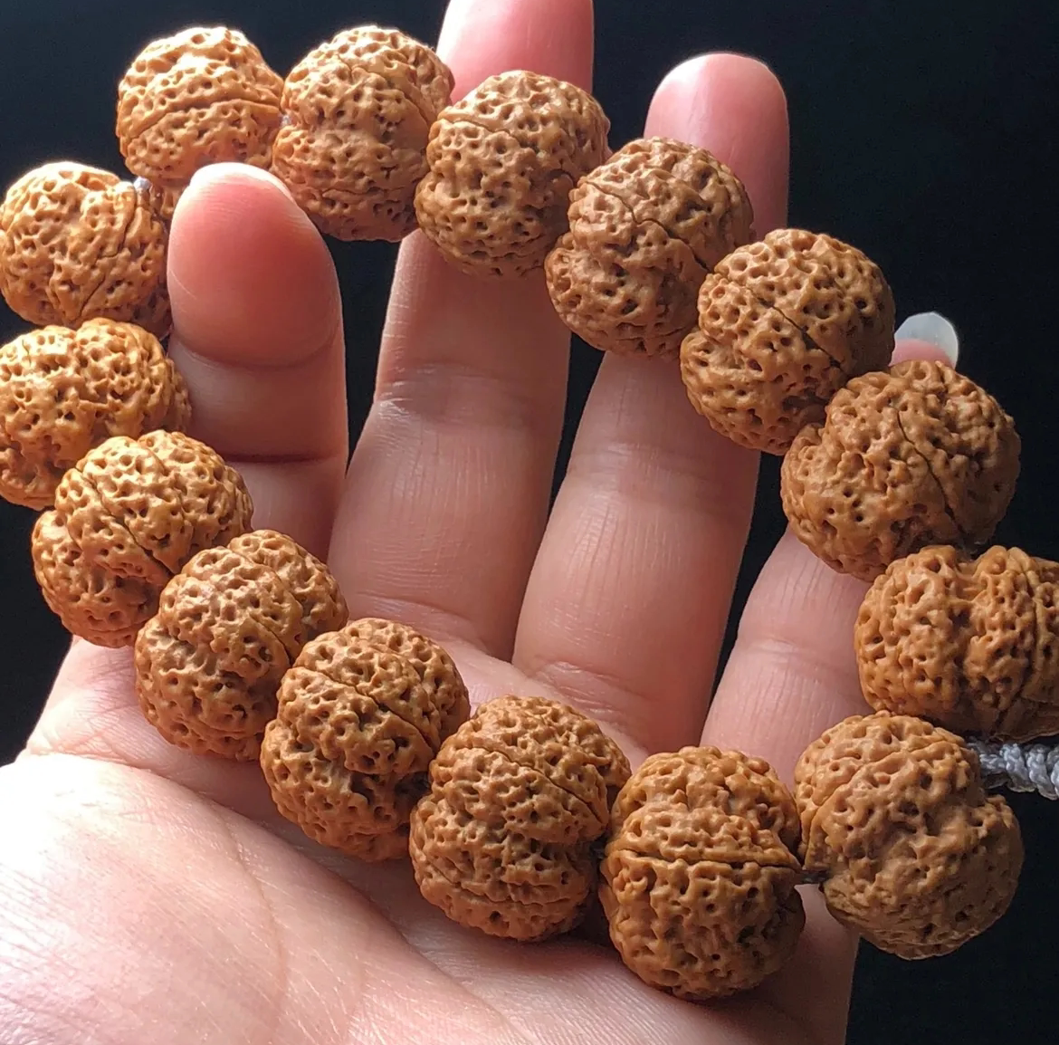 金刚菩提子蜂王- Top 100件金刚菩提子蜂王- 2025年10月更新- Taobao