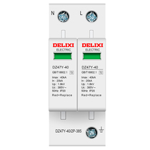 Delixi Surge Protector Lightning Leakage Protector Household DZ47Y-40 Switch Lightning Breaker 220V