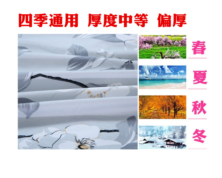 Giường váy tấm đơn trượt non-slip mùa hè giường trải giường 笠 1.8 m 1.5 m 2.0 m giường váy ren Simmons trải giường