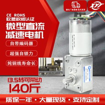 5840-555 Turbo Worm micro DC geared motor small motor 12v24v with encoder self-locking gear
