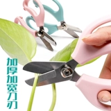 Деликальная садовая ножницы цветочный искусство широко раскрытый семейный цветочный срезанный цветочный срезанный цветочный