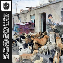 Food to help stray dogs (sent to the rescue base) to rescue helpless furry children and stray dogs on the streets