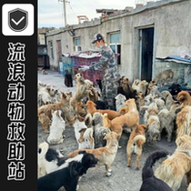 (Stray feeding) A days food for stray dogs helps the rescue center to take care of abandoned furry children.