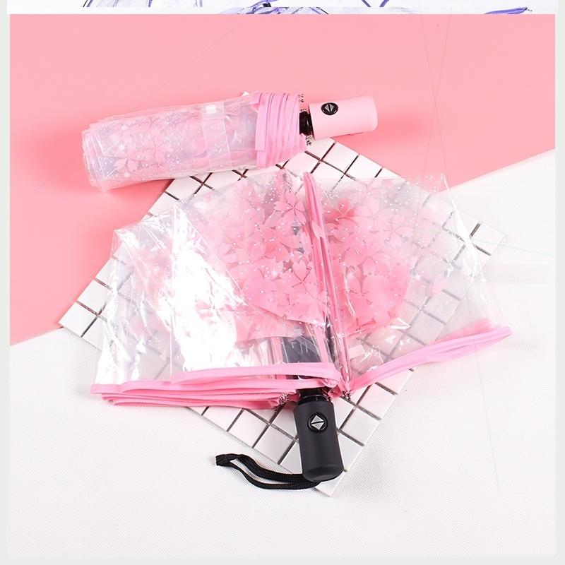 Xiao War Umbrella Large Shade Female Folded to School Kindergarten School Children's Umbrella Transparent Little Fresh