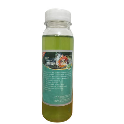 Compound green algae, professional water purification, aquarium, crayfish, aquaculture, Chlorella, grating algae, freshwater fertilizer, hydroponic algae, green water