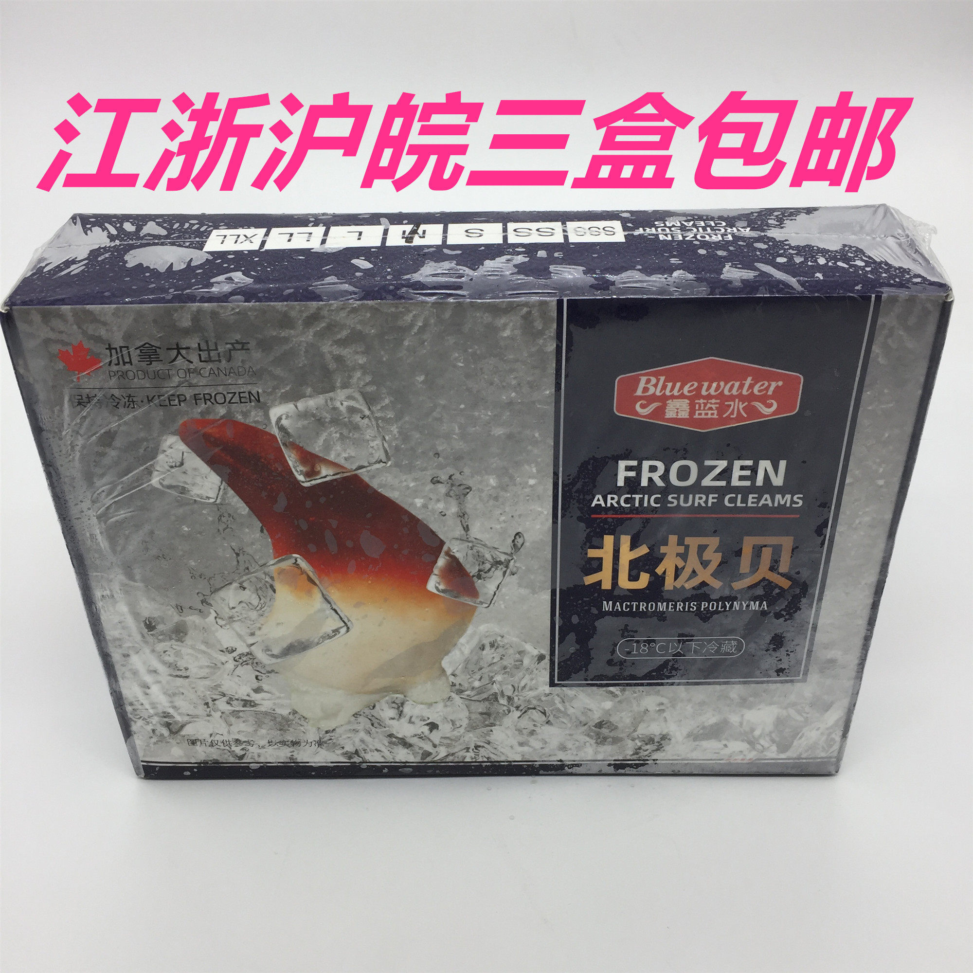 Sushi cuisine Original Canadian imported M-class Arctic shellfish 1KG without ice