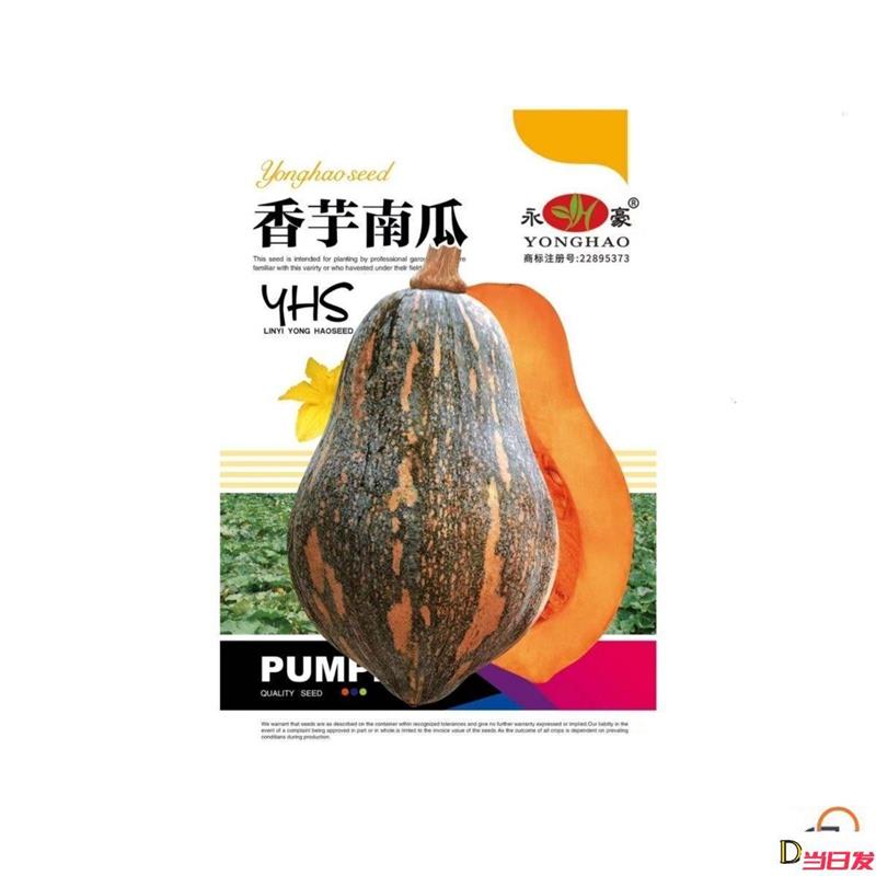 探寻宝宝辅食新宠:广西香芋南瓜的独特魅力