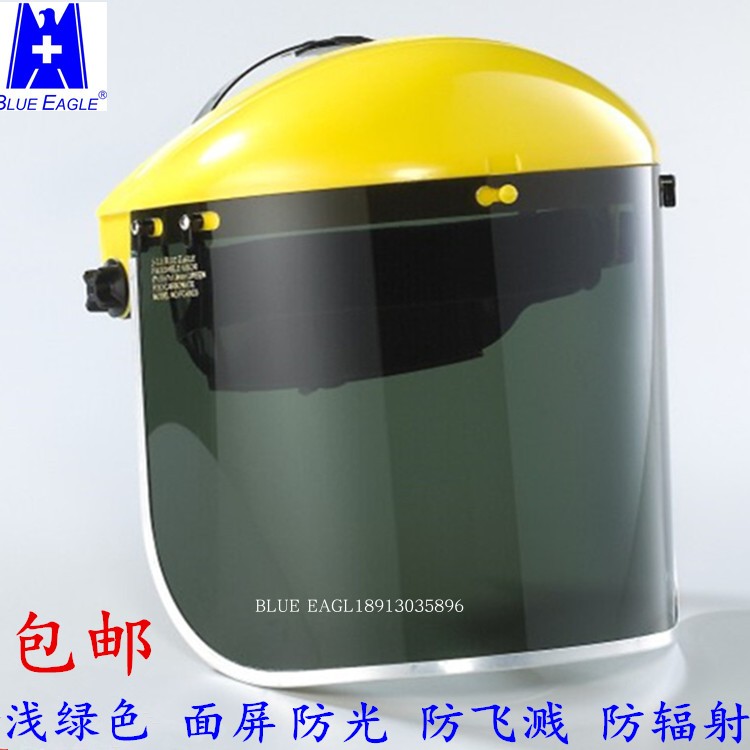 BLUE EAGLE blue eagle B1 FC48G3 face screen anti-UV face screen FC48G5 mask radiation mask