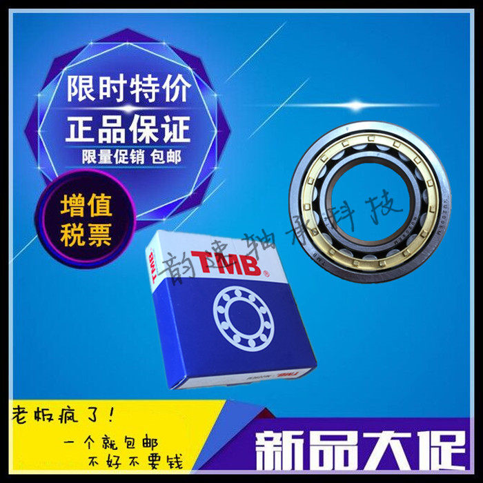 Sky Horse cylindrical roller bearing RN NJ NUP NF2317 2318 2319 2319 2322 2322 2324EM