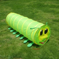 Туннель, гусеница