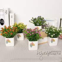 Starry ceramic basin Indoor cabinet Desktop entrance decorative flower pot planting small ornaments fake flower Green plant simulation flower