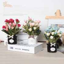 Home decoration Office kindergarten store decoration ornaments Milk bottle Green plant pot decoration flower simulation flower