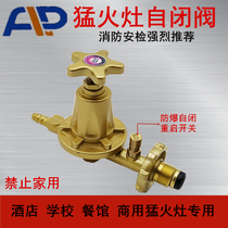 Self-closing fire stove medium pressure valve Adjustable air valve Gas stove liquefied gas high pressure valve Commercial safety explosion-proof air leakage