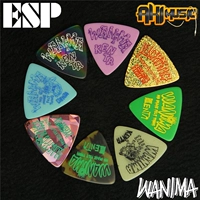 Японская версия ESP Wanima Band Bestaist Kenta помогает подписать лимитный выпуск Electric Bass Triangle Dial