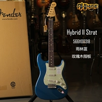 Гибрид II St Rose Raine Forest Blue