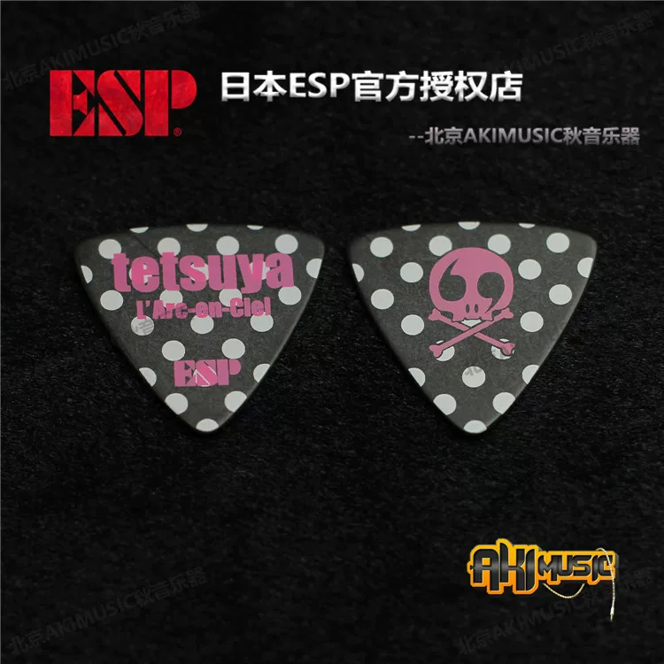 Nissan ESP TETSUYA L'RC-EN-CIEL Rainbow Band Limited Гитара бас Басовая кровать Патиомен