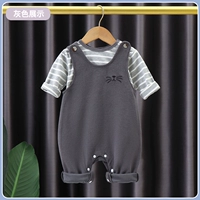 Крышка ремня кролика серая