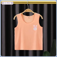 Жилетный кролик апельсин