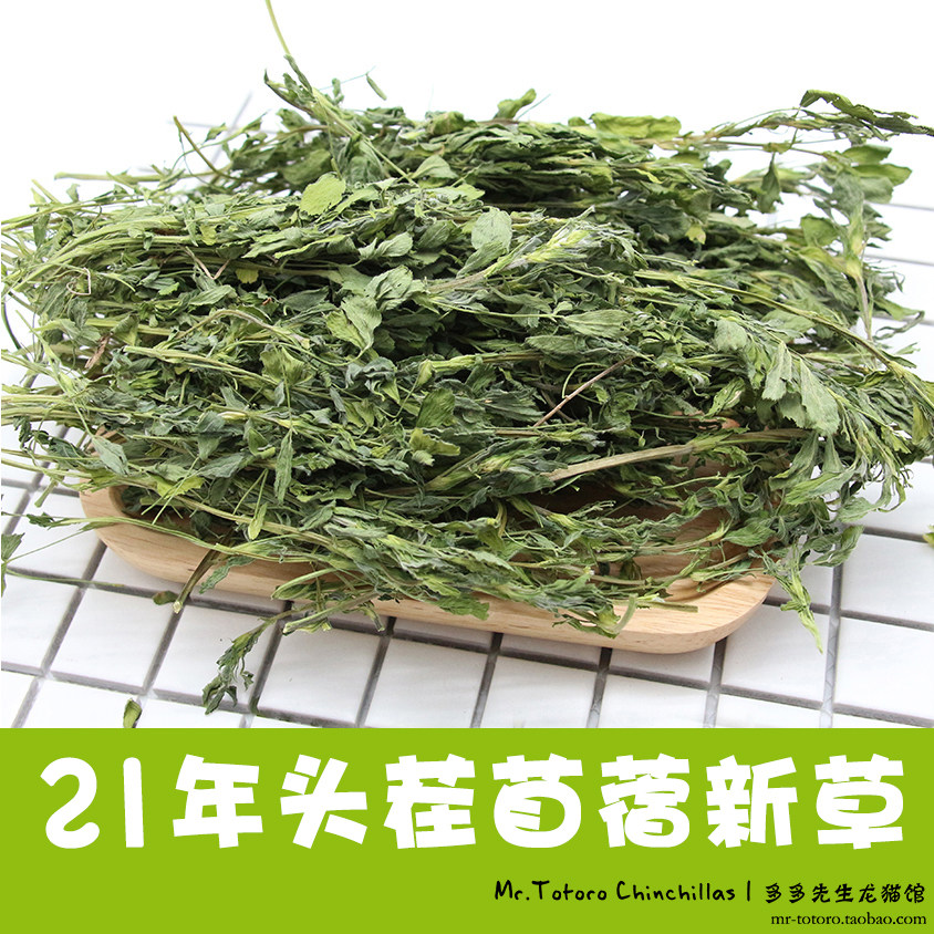  21 years when the summer of the new grass Alfalfa grass Alfalfa grass Totoro Rabbit Net weight 750g