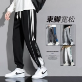Демисезонные осенние штаны, спортивные повседневные брюки для отдыха, оверсайз, свободный крой, подходит для подростков