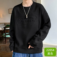 22054 черный [обычный]