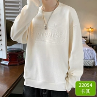 22054 Хаки [обычный]