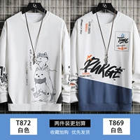 T872 White+T869 White