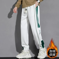 2303 белый [плюс бархат]