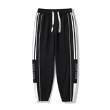 Демисезонные осенние штаны, спортивные повседневные брюки для отдыха, оверсайз, свободный крой, подходит для подростков