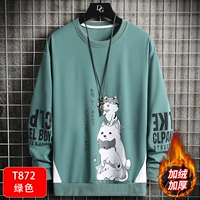 T872 зеленый [добавить бархат]