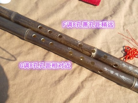 Zizhu một phần ngắn Xiao G điều chỉnh F sáu lỗ tám lỗ một lỗ carved khắc 55CM Xiao bắt đầu học nhạc cụ - Nhạc cụ dân tộc ống sáo
