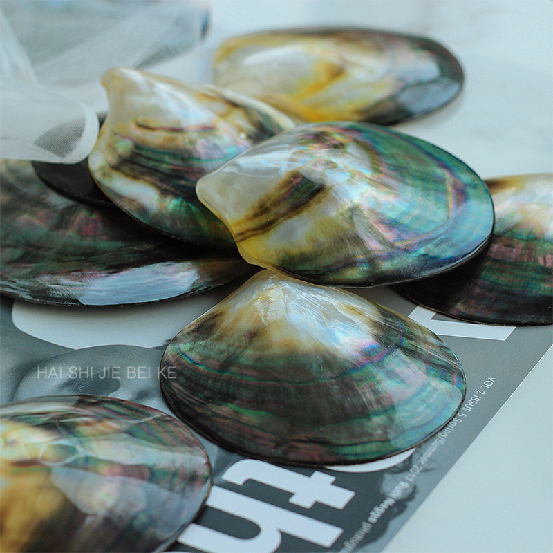 Natural large shell black butterfly shell polished seashell Tahitian black pearl jewelry jewelry photo props decoration plate