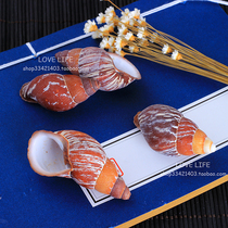 Natural coffee long snail shell conch sea star Mediterranean pastoral style decorations aquarium fish tank set