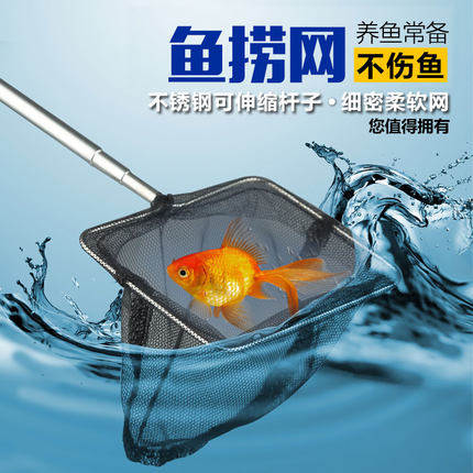 Fish tank fish fishing fish stainless steel square fish fishing hand-copied fish net Small golden fish Ornamental fish fishing aquarium shrimp fishing