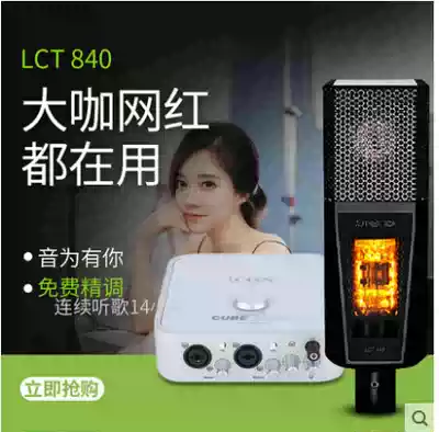 LEWITT Levitt LCT 840 vacuum tube live microphone recording studio anchor dubbing capacitor microphone