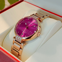 Lady Carole Watches Fully Automatic Mechanical Watch Fashion Women Watch Waterproof Large Dial Luxurious Wristwatch Wristwatch