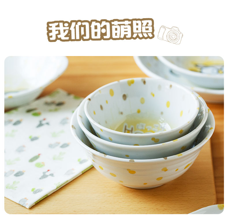 The Children 's tableware imported from Japan cartoon owl under glaze made pottery bowls to eat rice bowl plate breakfast tray