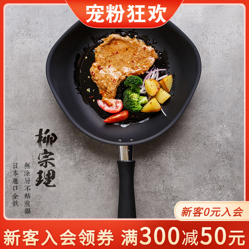 Willow casting iron pan Japanese original imported frying pan not easy to stick Japanese style home without coating flat bottom pan with lid