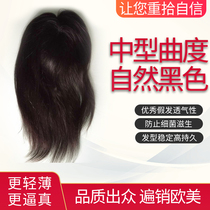 Wig Real Hair Long Hair Hair Replacement Hair Wig Piece Without Mark Hair Block Shelter White Hair Increase Hair Volume Delivery Needle Roll Hair