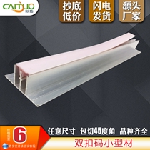 Type 2 double buckle code keel card slot Press strip flat code LED soft film ceiling special accessories aluminum alloy profile